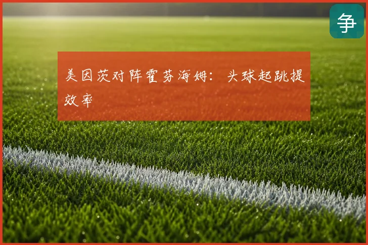 美因茨对阵霍芬海姆：头球起跳提效率